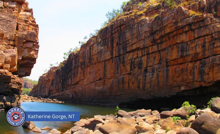 House sitting and pet sitting in the Northern Territory, Australia